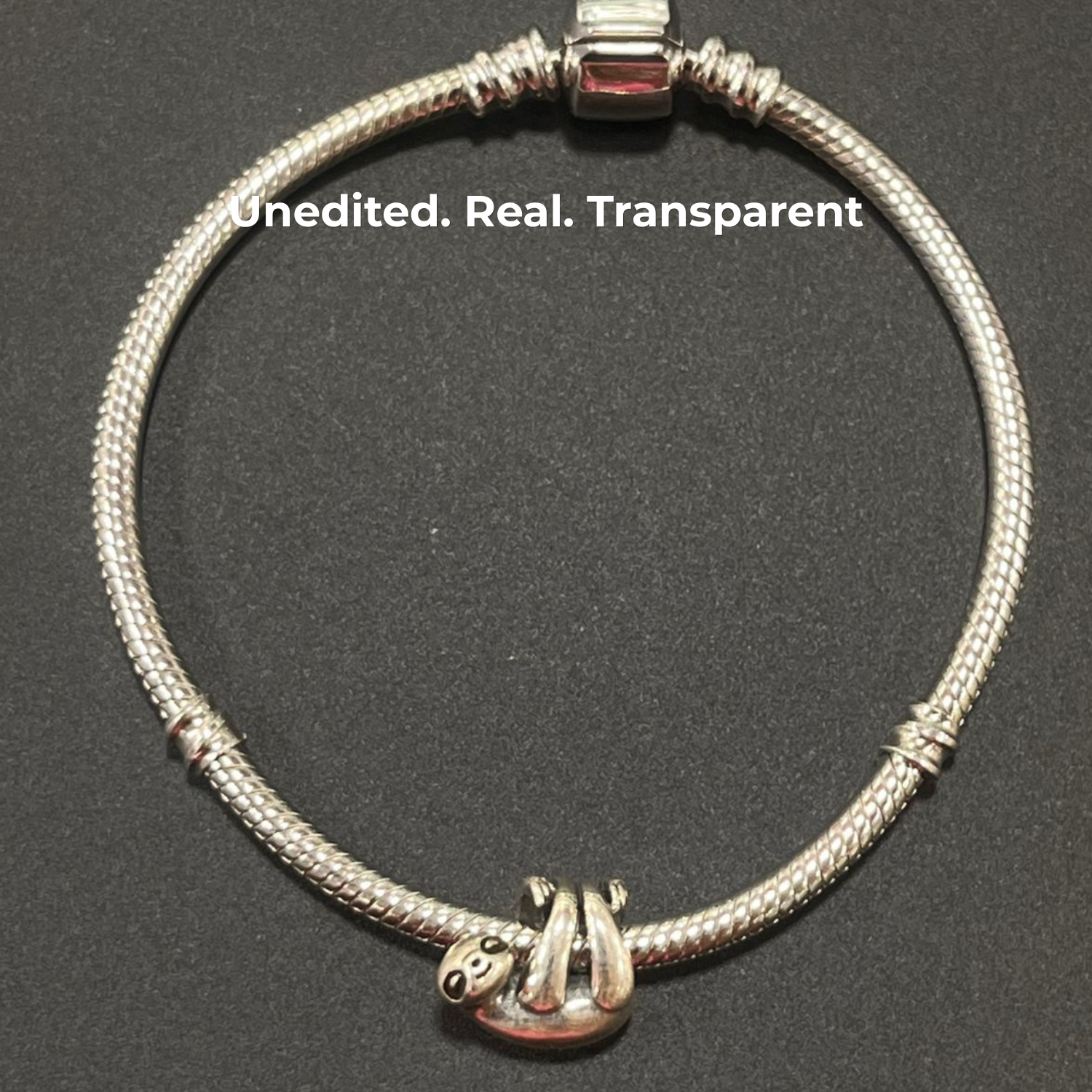 925 Silver Hanging Sloth Charm