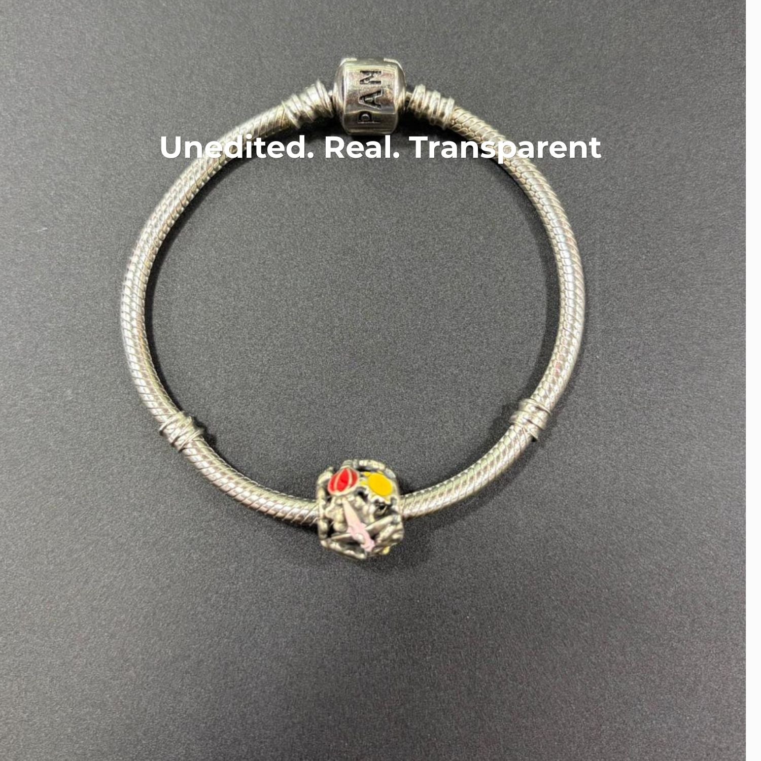 925 Silver "Fly Away With Me" Travel Adventure Charm