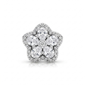 925 Silver Bloom of Light Star Charm