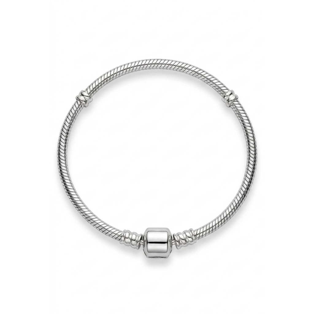 925 Silver Classic Moments Charm Bracelet ✨💖