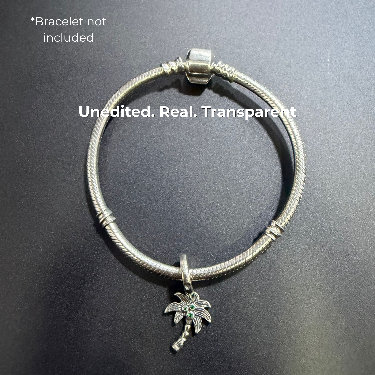 925 Silver Tropical Palm Breeze Charm