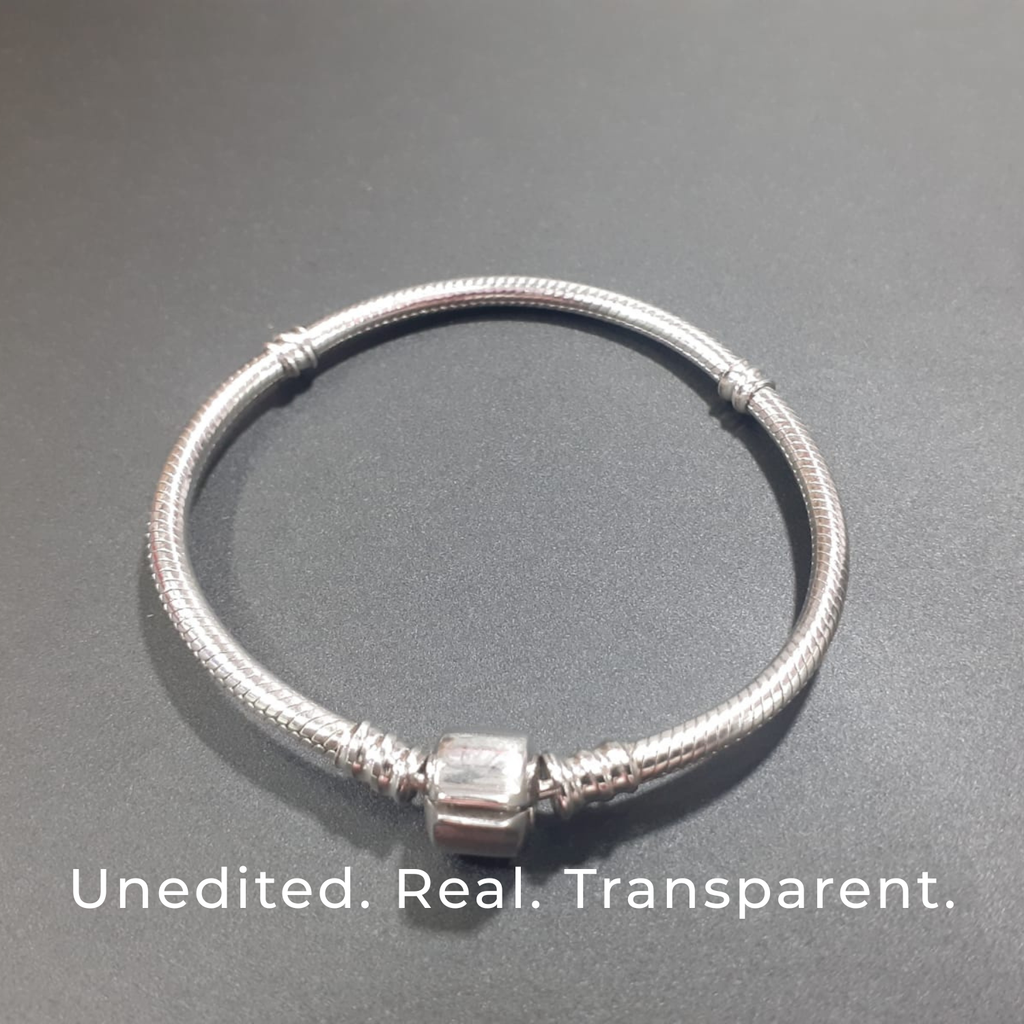 925 Silver Classic Moments Charm Bracelet ✨💖