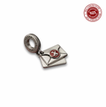 Hogwarts Acceptance Letter Dangle Charm