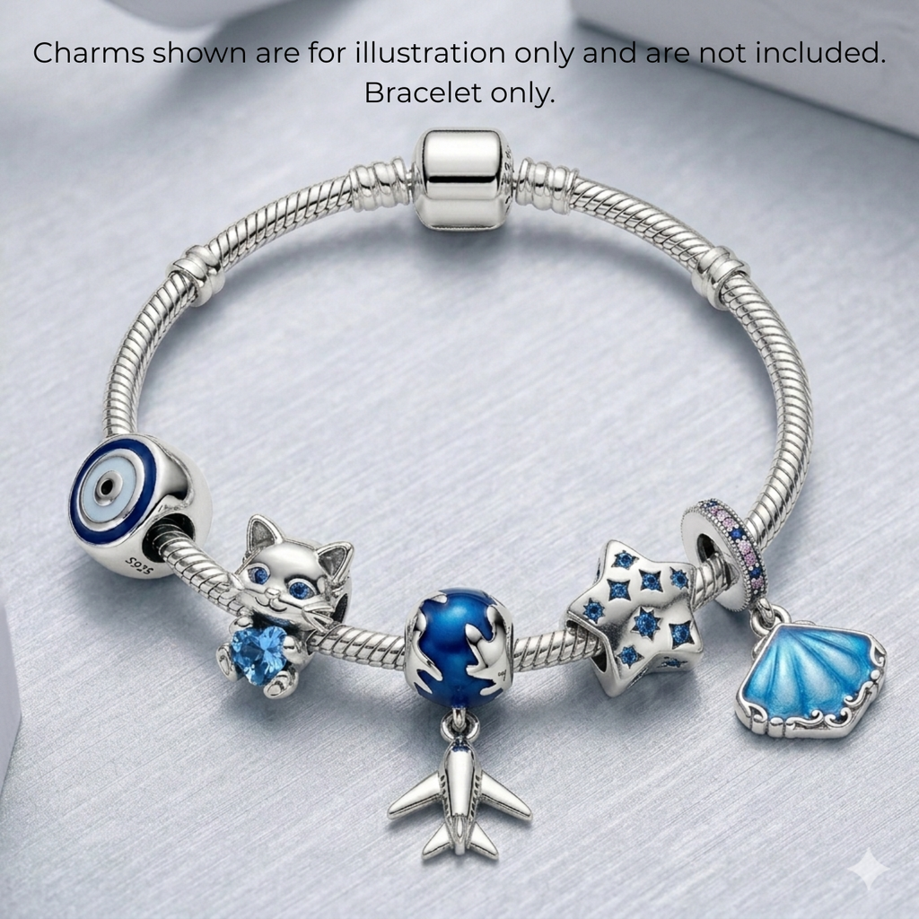 925 Silver Classic Moments Charm Bracelet ✨💖