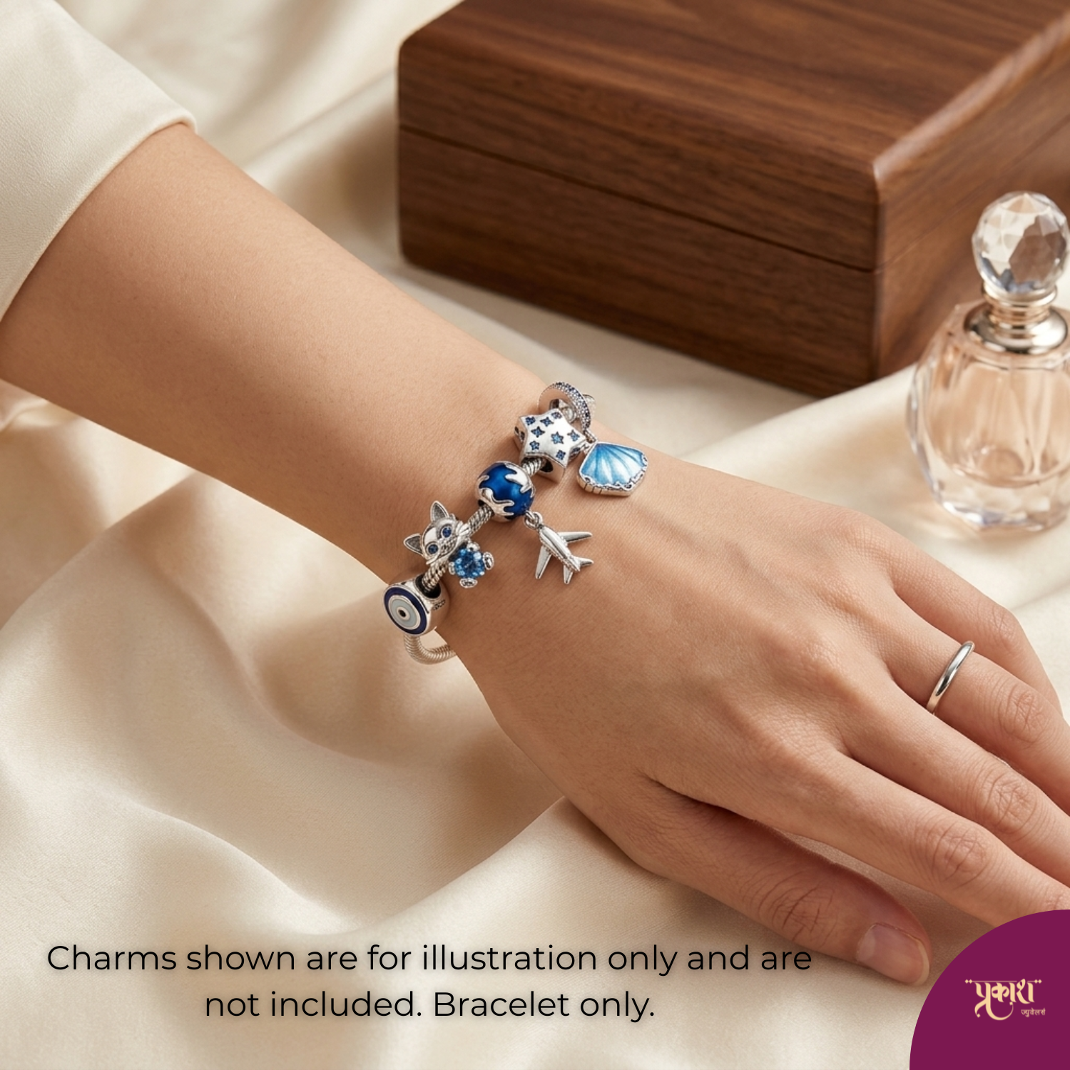 925 Silver Classic Moments Charm Bracelet ✨💖
